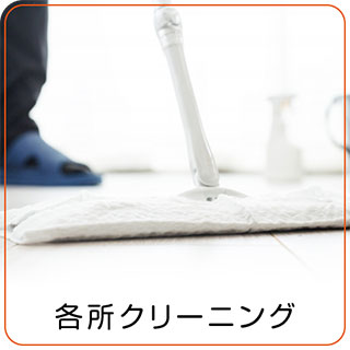 各所クリーニング 各所クリーニング
