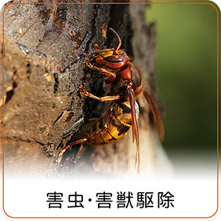 害虫・害獣駆除 害虫・害獣駆除